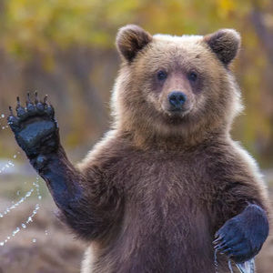 Meet your Posher, Ramon